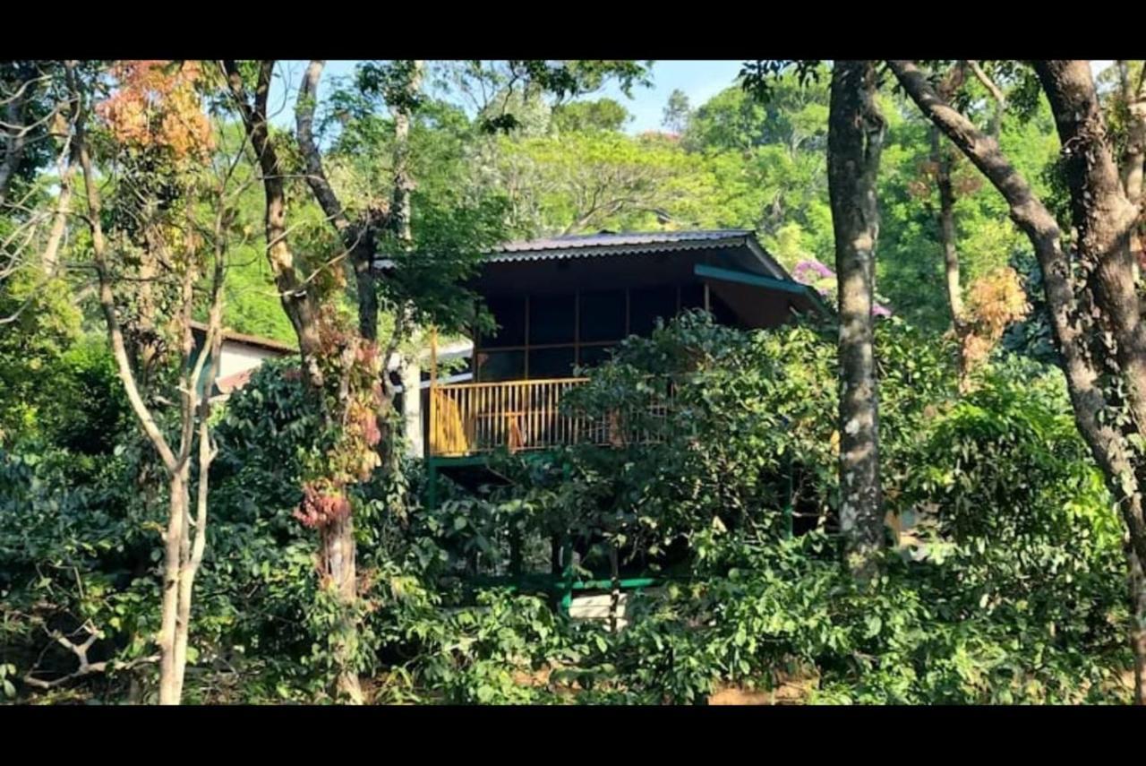 Hill Valley Farm House Nelliyampathy Extérieur photo