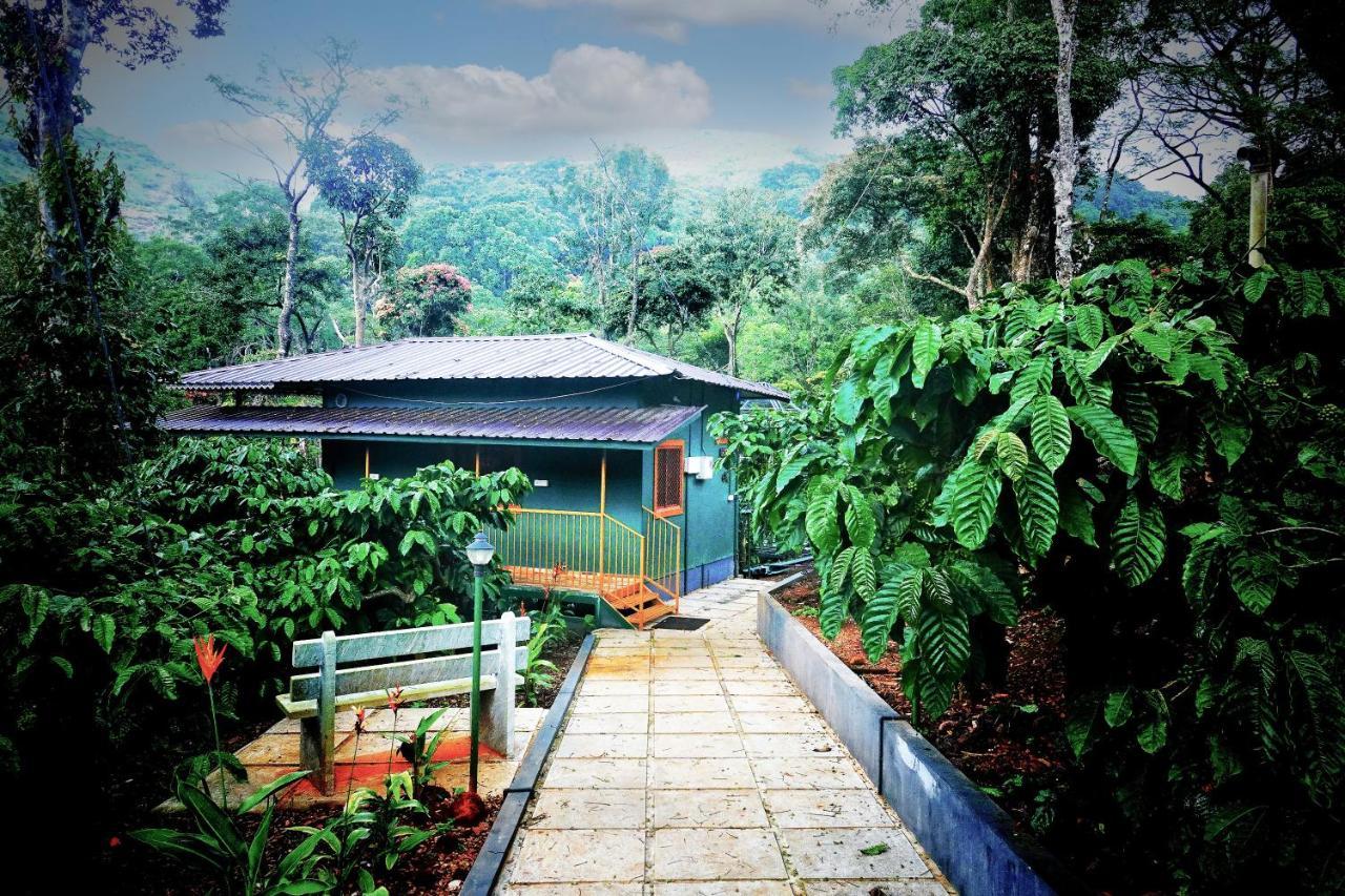 Hill Valley Farm House Nelliyampathy Extérieur photo