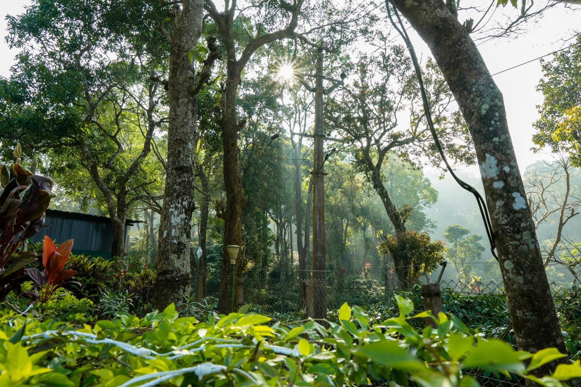 Hill Valley Farm House Nelliyampathy Extérieur photo