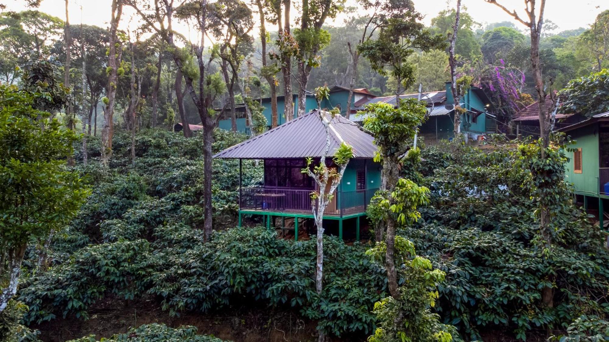 Hill Valley Farm House Nelliyampathy Extérieur photo