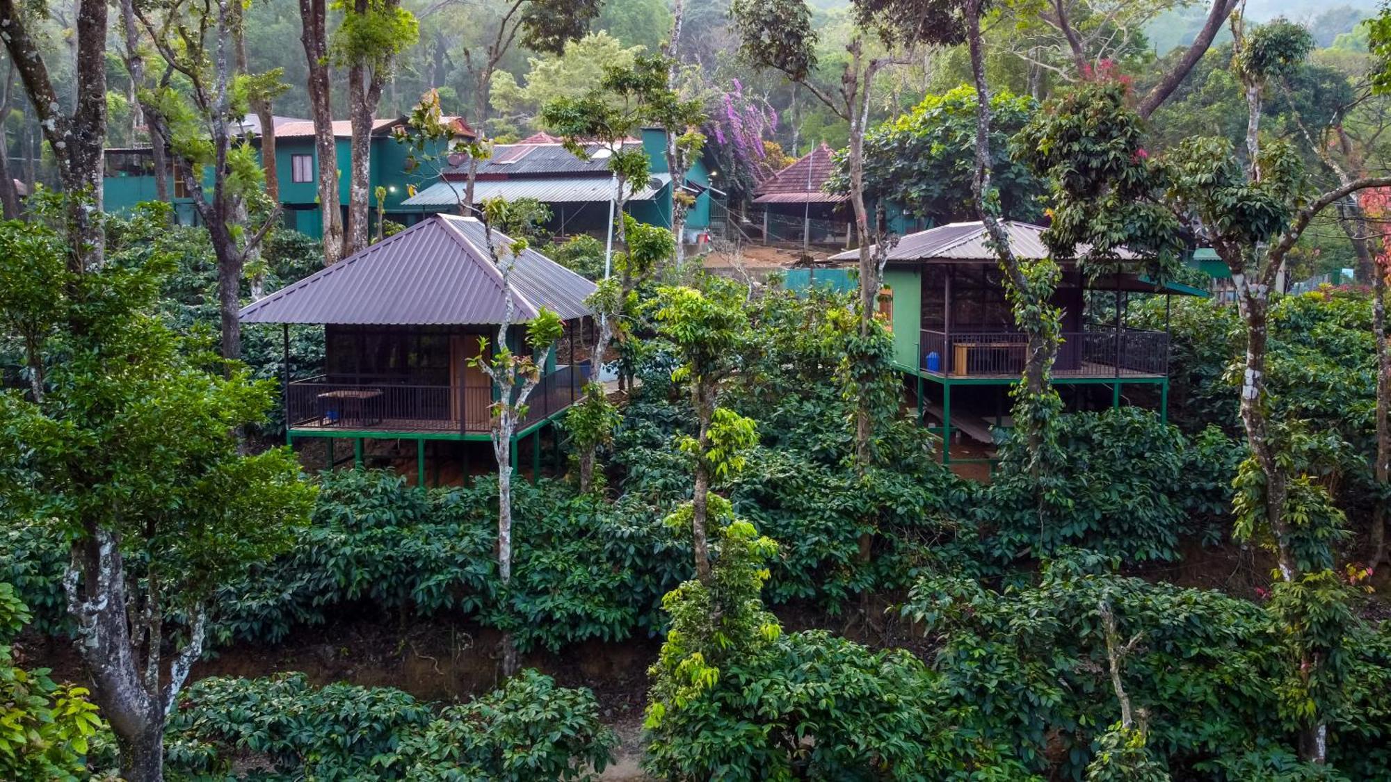 Hill Valley Farm House Nelliyampathy Extérieur photo